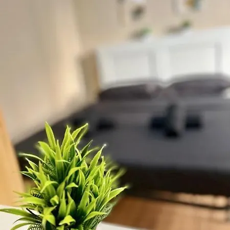 Apartman Zar 8 Trieszt