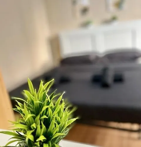 Apartman Zar 8 Trieszt