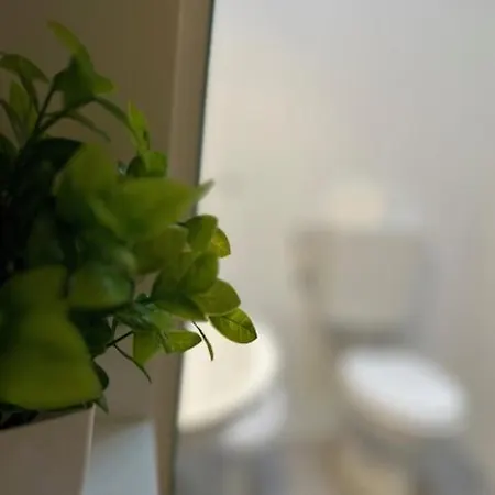 Apartment Zar 8